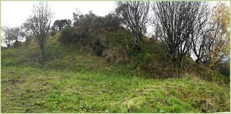 fairy knoll